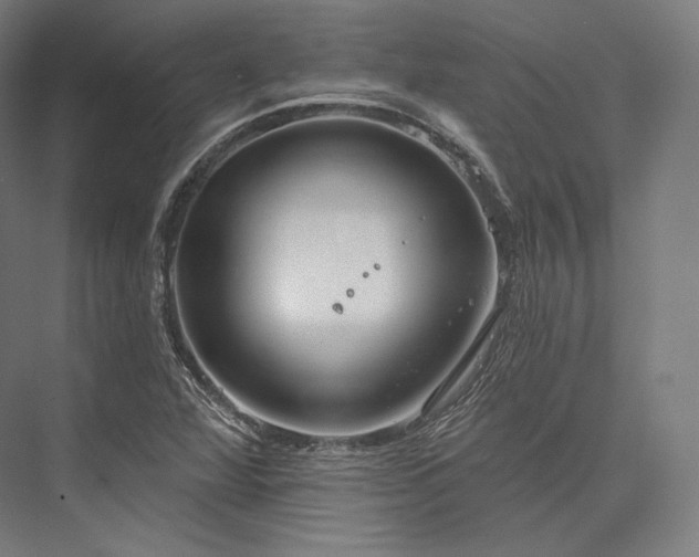 X0000076381360200610061113