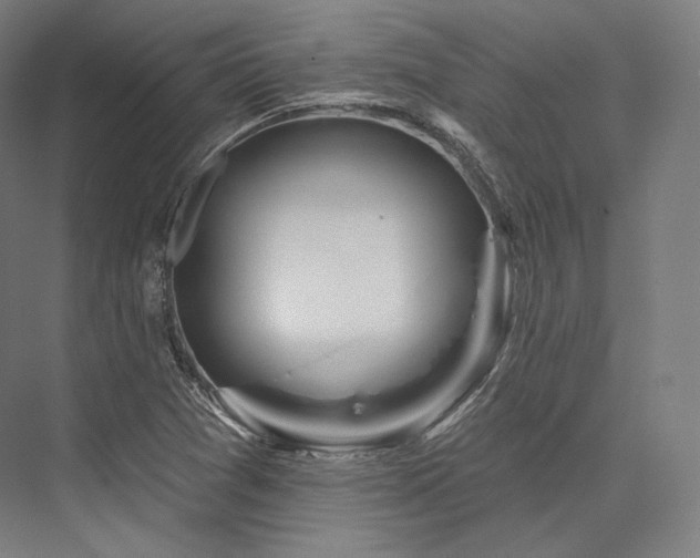 X0000076381361200610061113