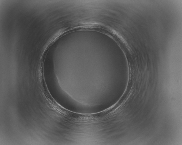 X0000076381362200610061113