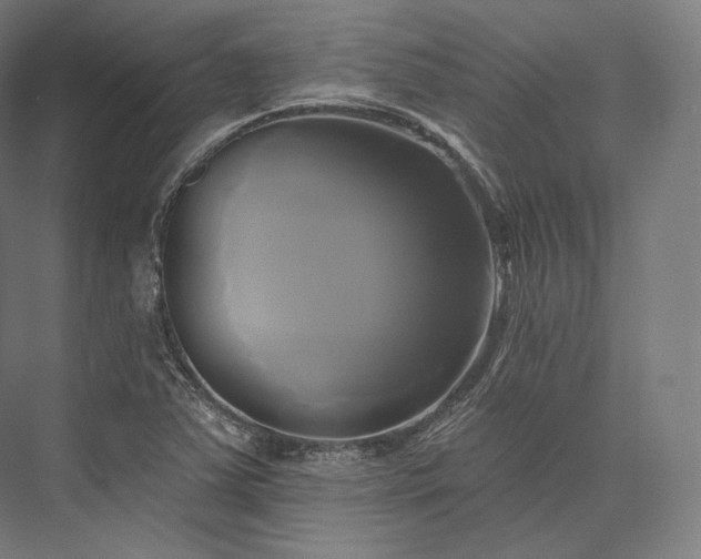 X0000076381363200610061113