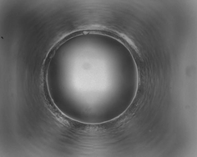 X0000076381364200610061113