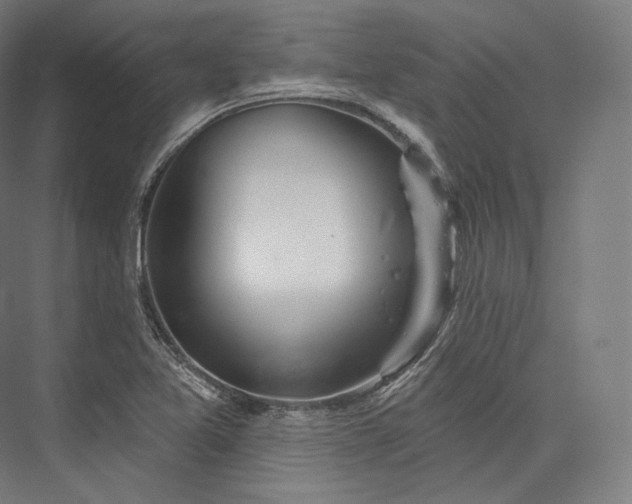 X0000076381365200610061113