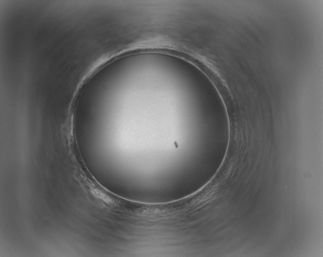 X0000076381366200610061113