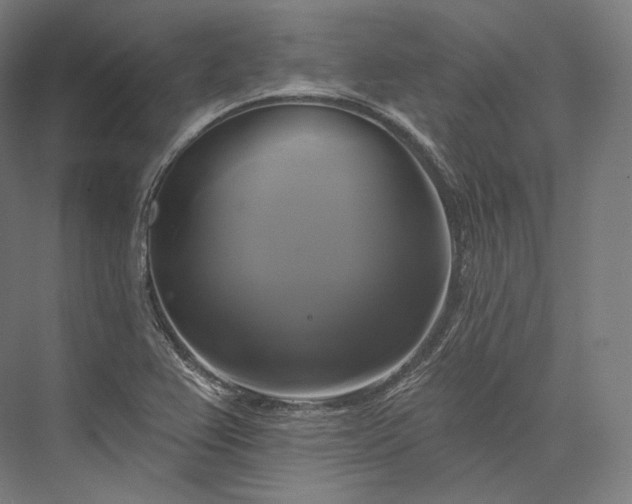 X0000076381367200610061113