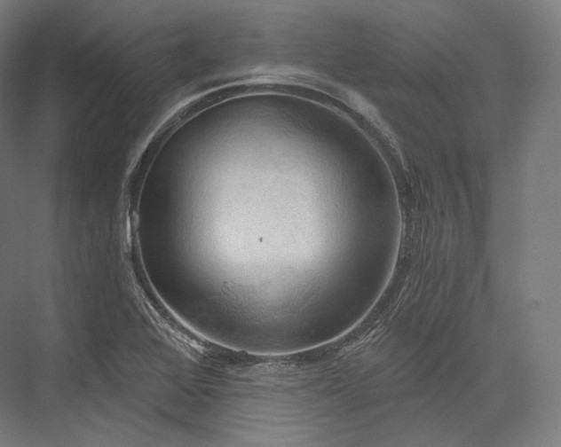 X0000076381368200610061113