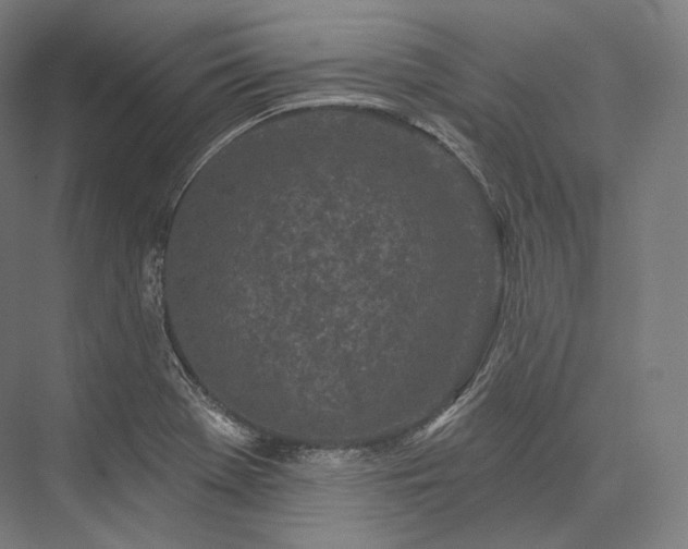 X0000076381369200610061113