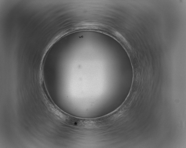 X0000076381370200610061113