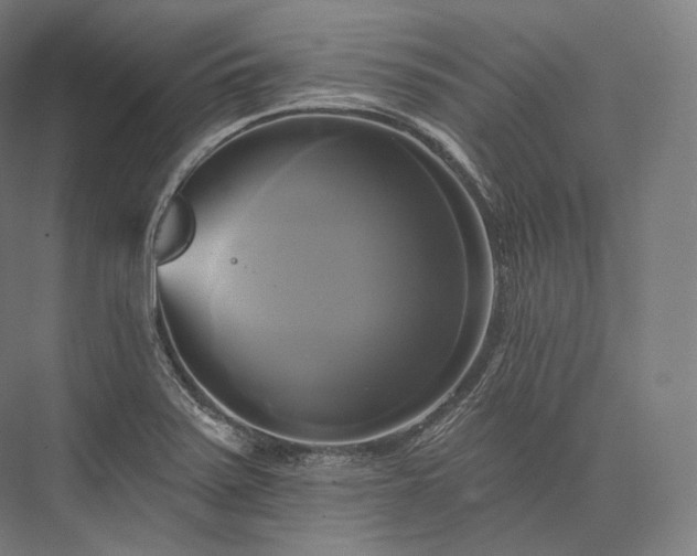 X0000076381371200610061113