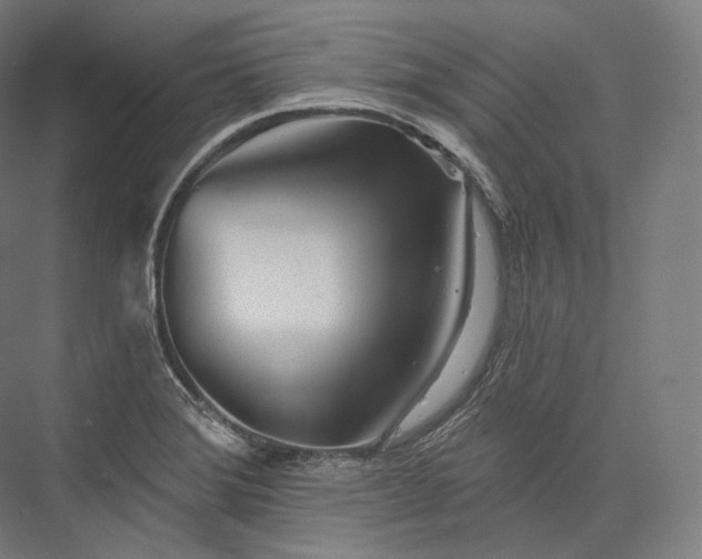 X0000076381372200610061113