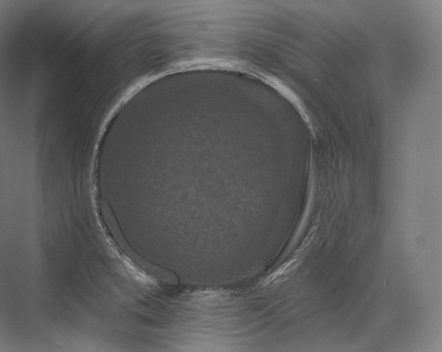 X0000076381373200610061113