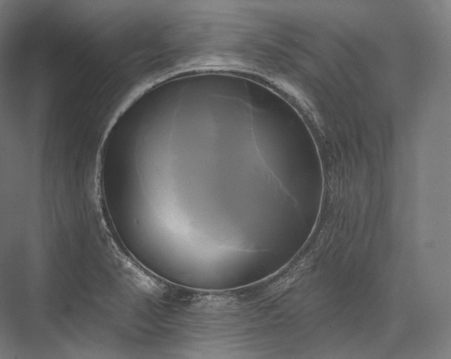 X0000076381374200610061113