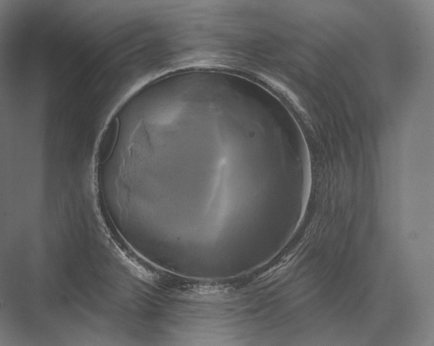 X0000076381375200610061113