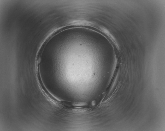 X0000076381376200610061113