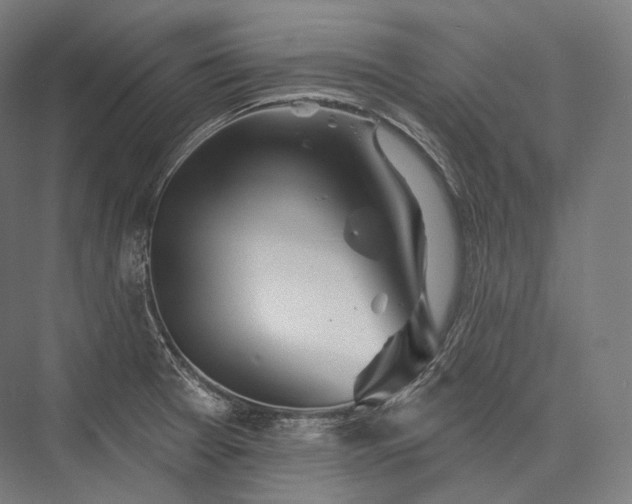 X0000076381377200610061113