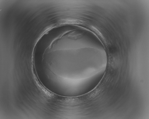 X0000076381378200610061113