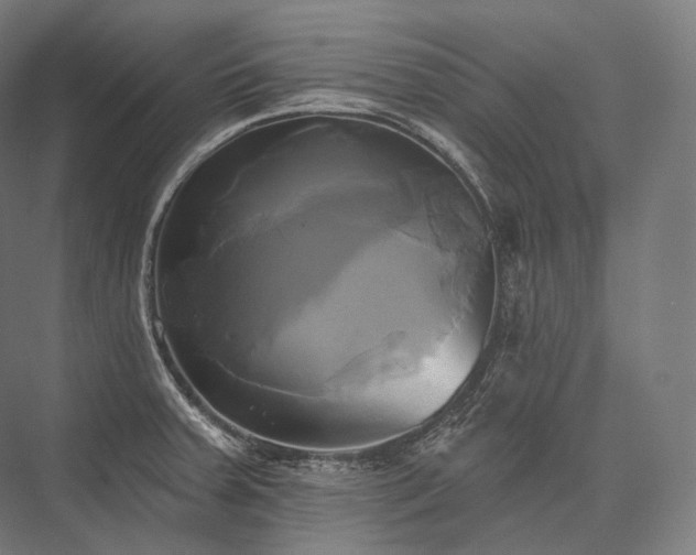 X0000076381379200610061113