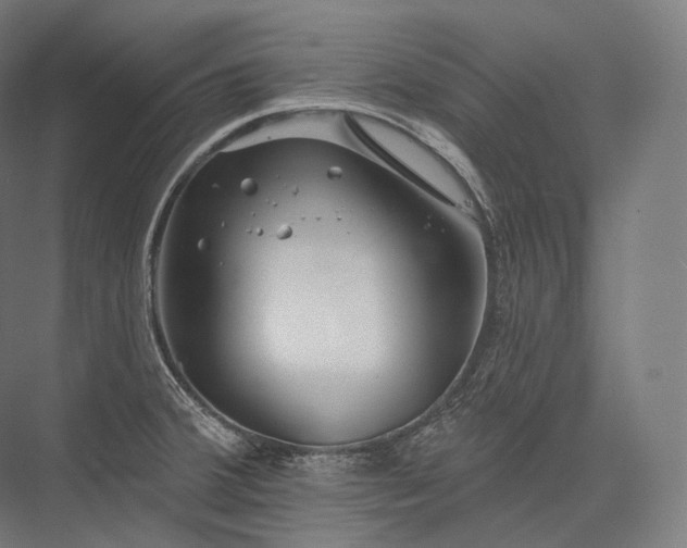 X0000076381380200610061113