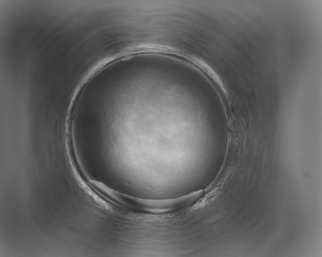 X0000076381381200610061113