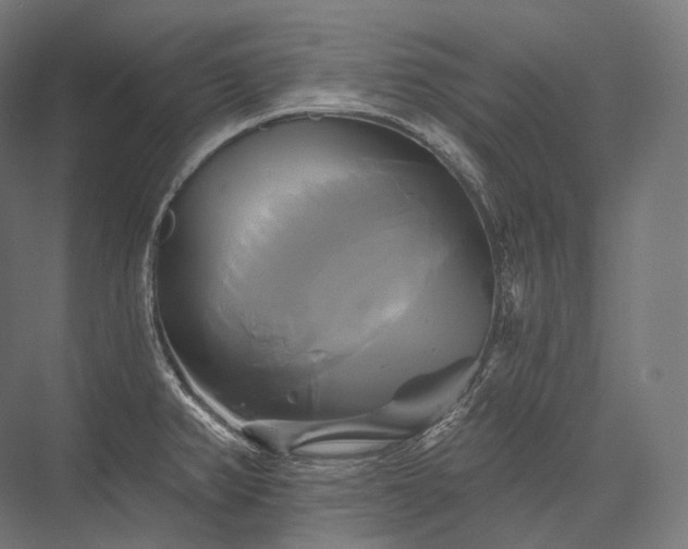 X0000076381382200610061113