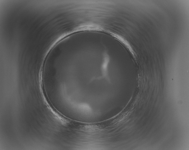 X0000076381383200610061113