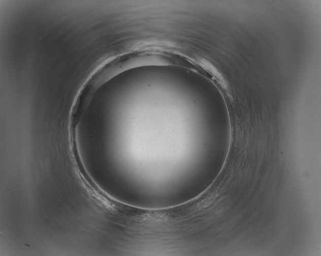 X0000076381384200610061113