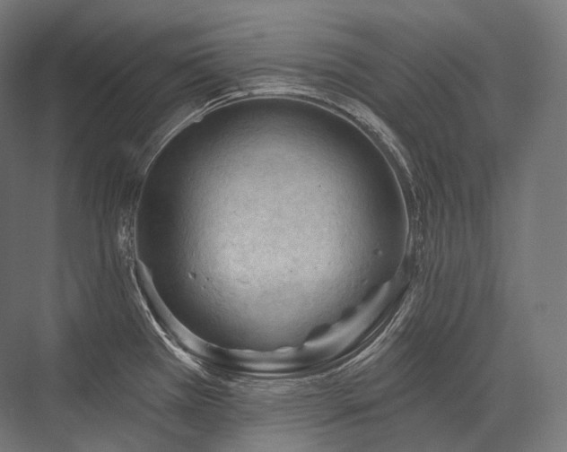 X0000076381385200610061113