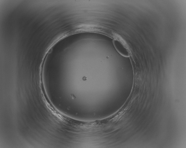 X0000076381386200610061113