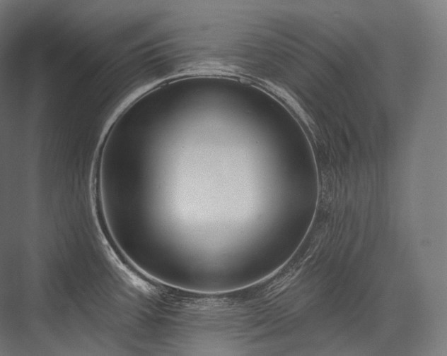 X0000076381387200610061113