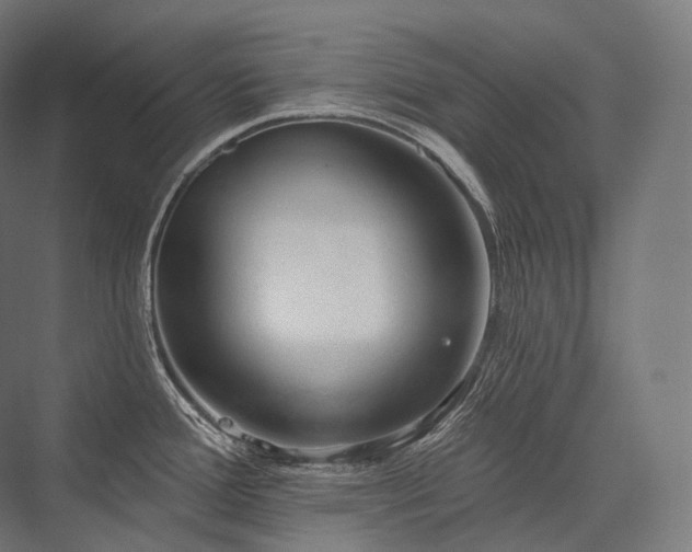 X0000076381388200610061113