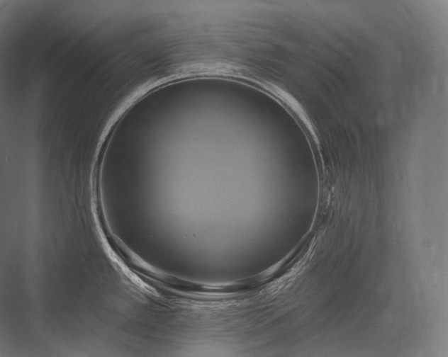 X0000076381389200610061113