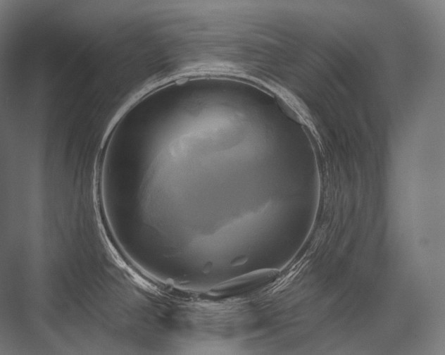 X0000076381390200610061113