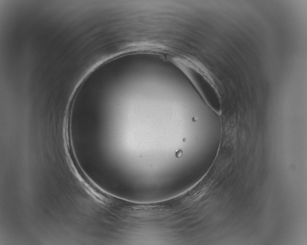 X0000076381391200610061113