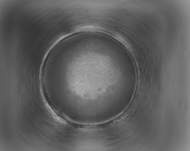 X0000076381392200610061113