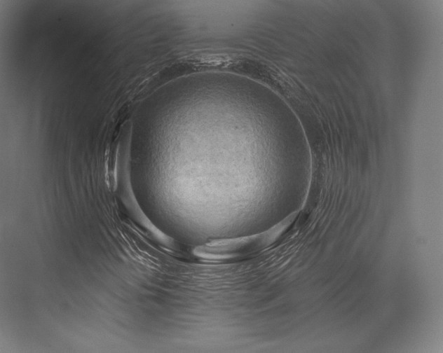 X0000076381394200610061112