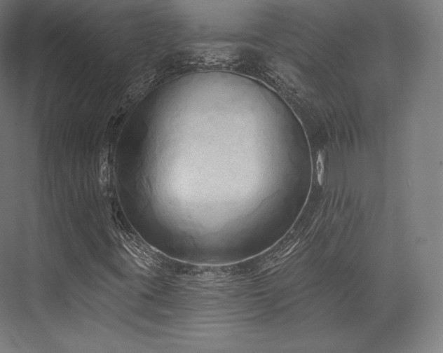 X0000076381395200610061112