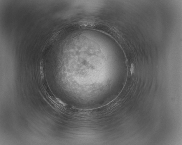 X0000076381396200610061112