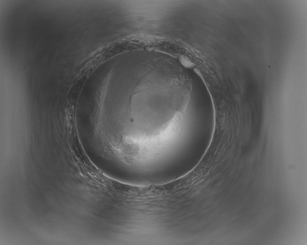 X0000076381397200610061112