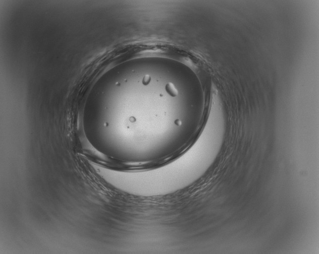 X0000076381398200610061112