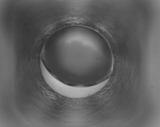 X0000076381399200610061112