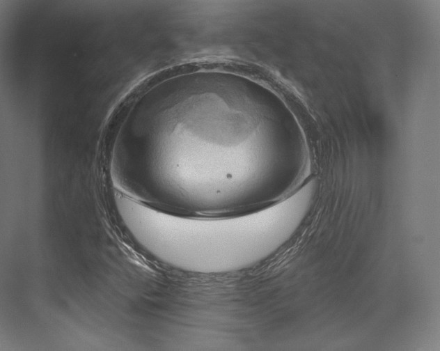 X0000076381400200610061112