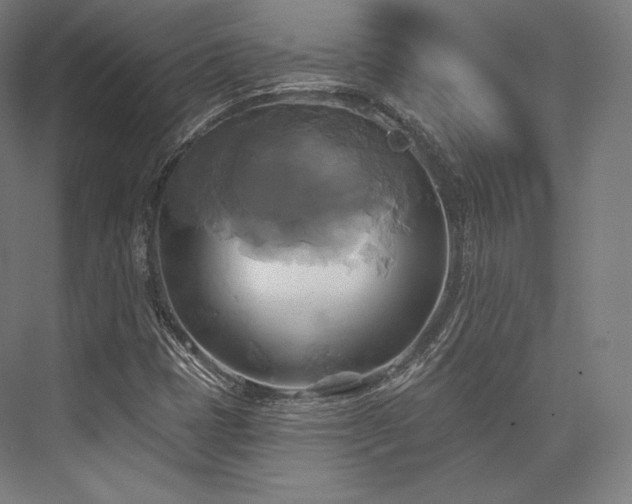 X0000076381401200610061112