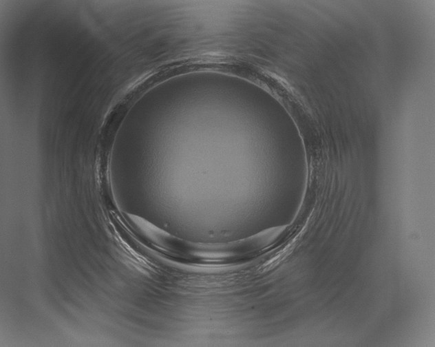 X0000076381402200610061112