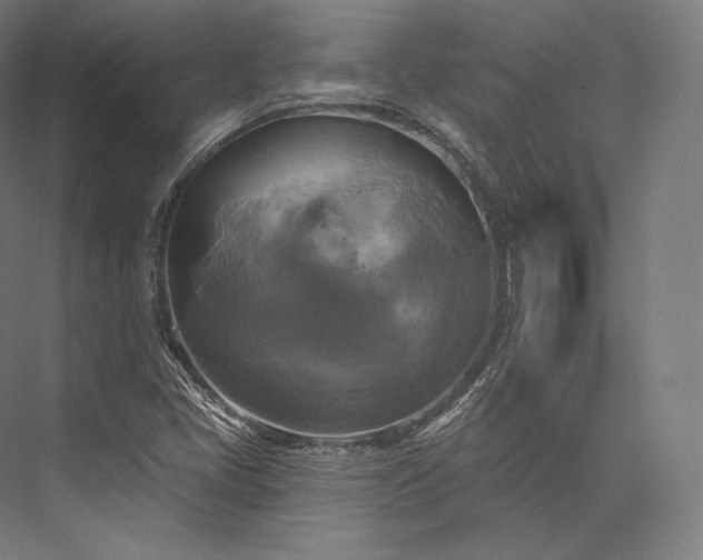 X0000076381405200610061112