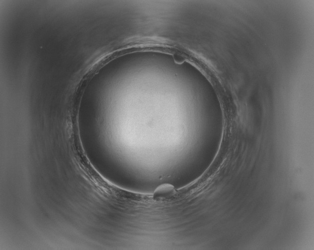 X0000076381407200610061112