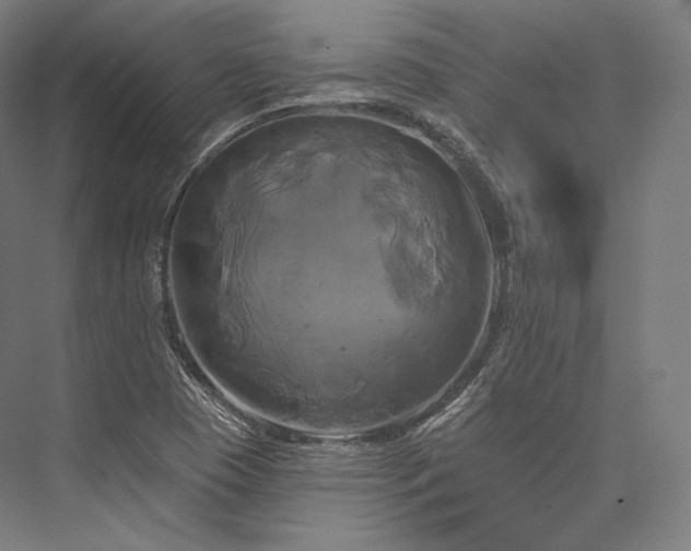 X0000076381409200610061112