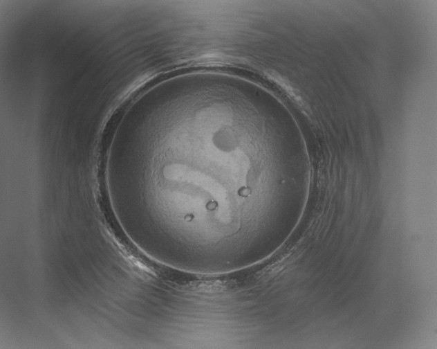 X0000076381410200610061112