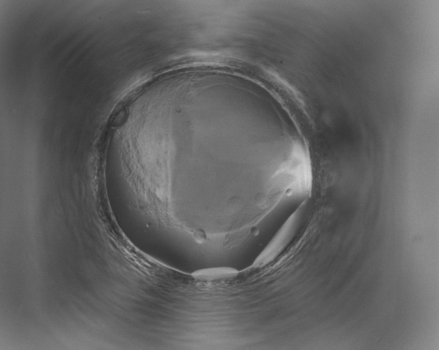 X0000076381411200610061112