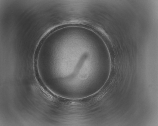 X0000076381412200610061112