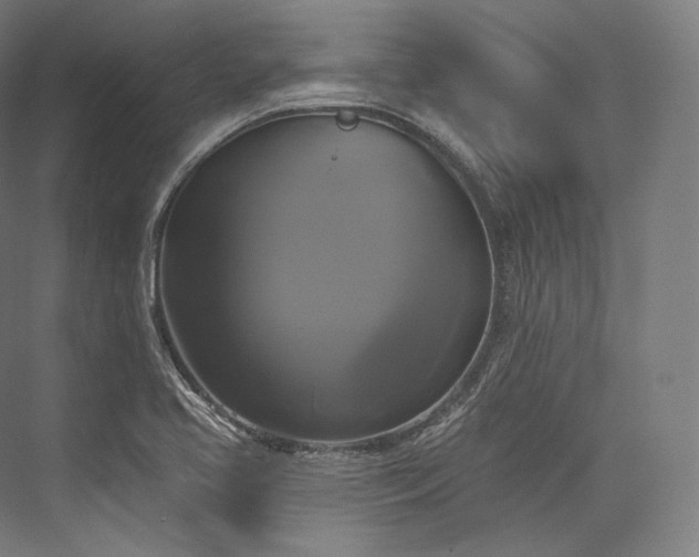 X0000076381413200610061112