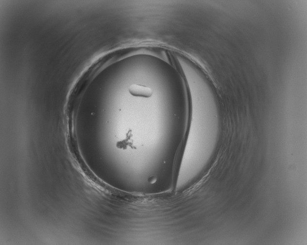 X0000076381414200610061112